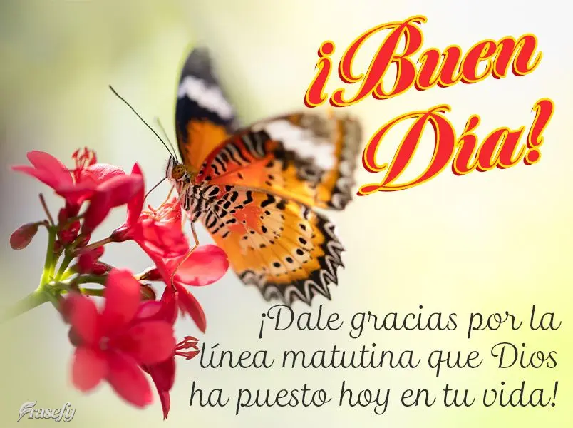 ¡Dale gracias por la línea matutina que Dios ha puesto hoy en tu vida! ¡Buen día!