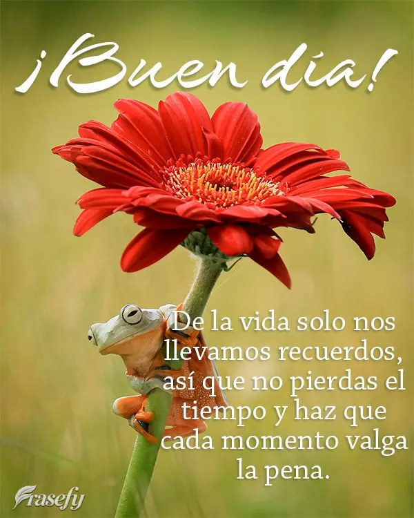 De la vida solo nos llevamos recuerdos, así que no pierdas el tiempo y haz que cada momento valga la pena. ¡Buen día!