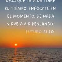 Deja que la vida tome su tiempo, enfócate en el momento, de nada sirve vivir pensando en el futuro, si lo verdadero está en el ahora, aprovecha las opo...