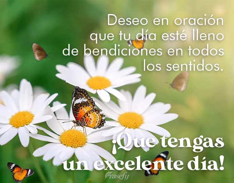 Deseo en oración que tu día esté lleno de bendiciones en todos los sentidos. ¡Que tengas un excelente día!