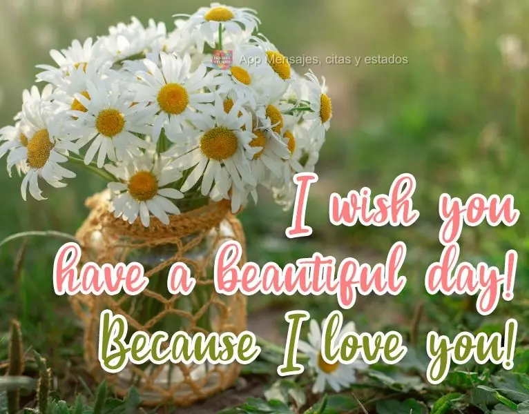 ¡Deseo que tengas un hermoso día! ¡Porque te quiero!