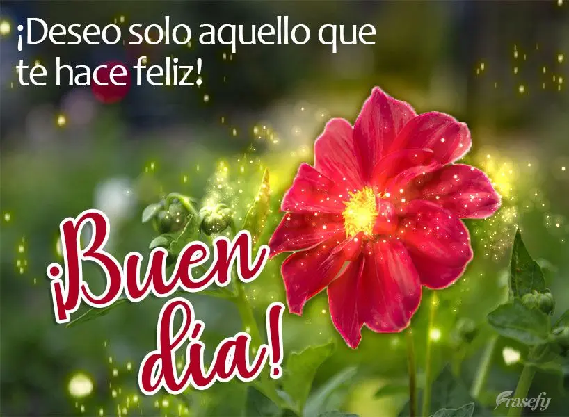 ¡Deseo solo aquello que te hace feliz!  ¡Buen día!