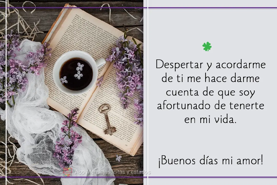 Despertar y acordarme de ti me hace darme cuenta de que soy afortunado de tenerte en mi vida. ¡Buenos días mi amor!