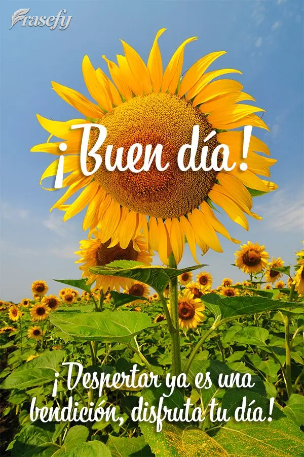 ¡Despertar ya es una bendición, disfruta tu día! ¡Buen día!