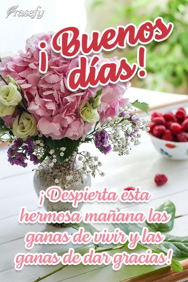 ¡Despierta esta hermosa mañana las ganas de vivir y las ganas de dar gracias! ¡Buenos días!