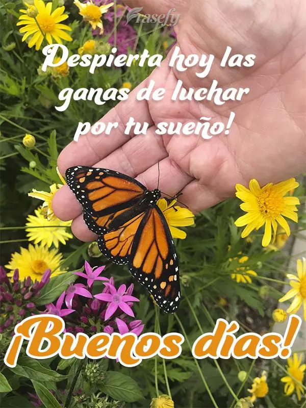 ¡Despierta hoy las ganas de luchar por tu sueño! ¡Buenos días!