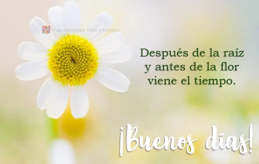 Después de la raíz y antes de la flor viene el tiempo. ¡Buenos días!