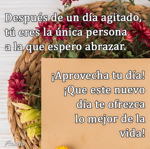 Después de un día agitado, tú eres la única persona a la que espero abrazar. ¡Aprovecha tu día! ¡Que este nuevo día te ofrezca lo mejor de la vid...