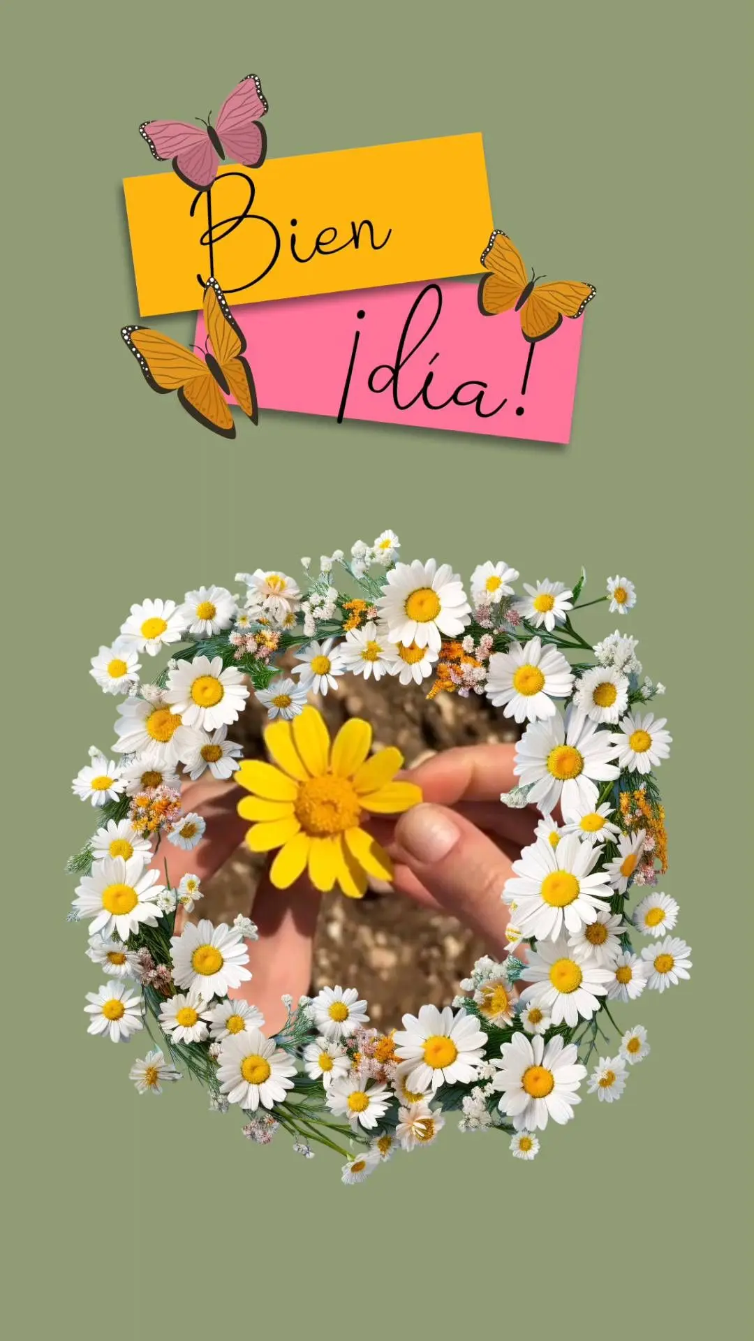 ¡día! Bien