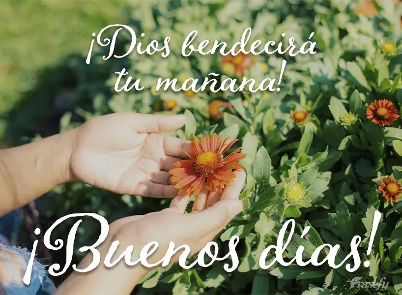 ¡Dios bendecirá tu mañana! ¡Buenos días!