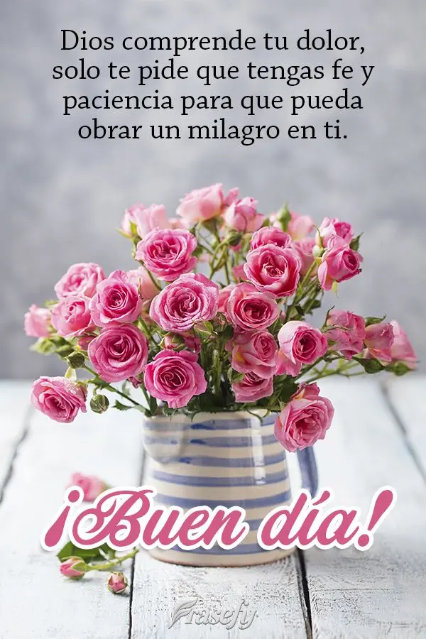 Dios comprende tu dolor, solo te pide que tengas fe y paciencia para que pueda obrar un milagro en ti. ¡Buen día!