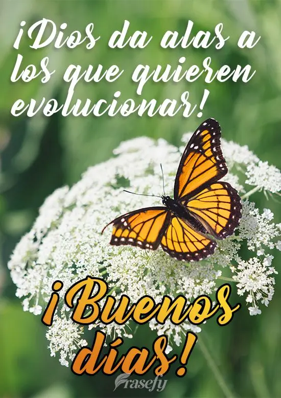 ¡Dios da alas a los que quieren evolucionar! ¡Buenos días!