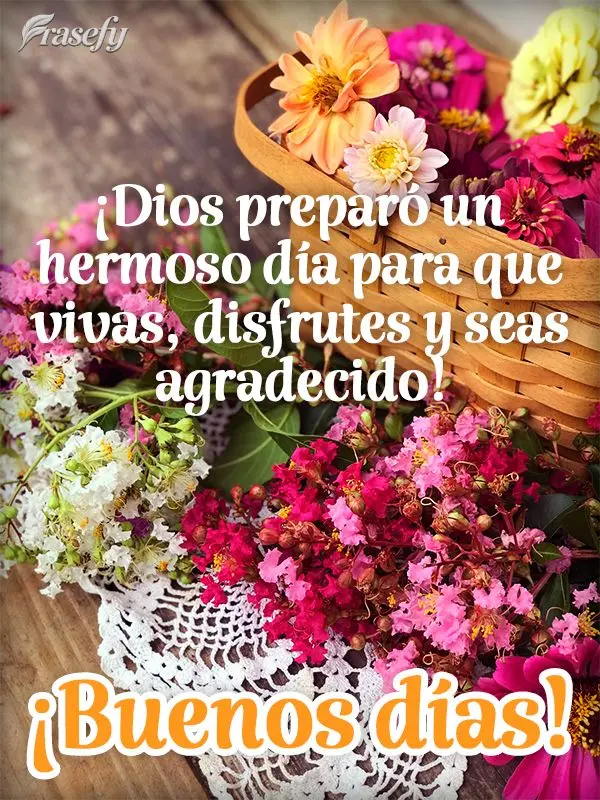 ¡Dios preparó un hermoso día para que vivas, disfrutes y seas agradecido! ¡Buenos días!