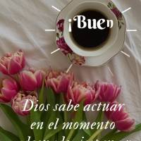 ¡Dios sabe actuar en el momento adecuado, espera y confía que Él, te sorprenderá! ¡Buen día!