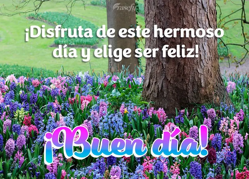 ¡Disfruta de este hermoso día y elige ser feliz! ¡Buen día!
