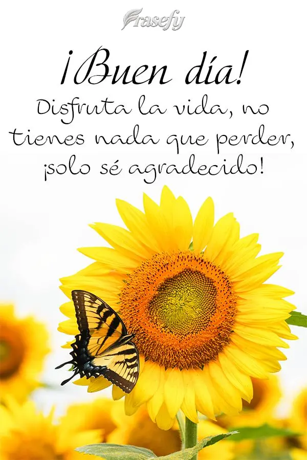 Disfruta la vida, no tienes nada que perder, ¡solo sé agradecido! ¡Buen día!