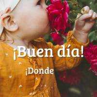 ¡Donde hay bendiciones de Dios encontrarás tu paz! ¡Buen día!