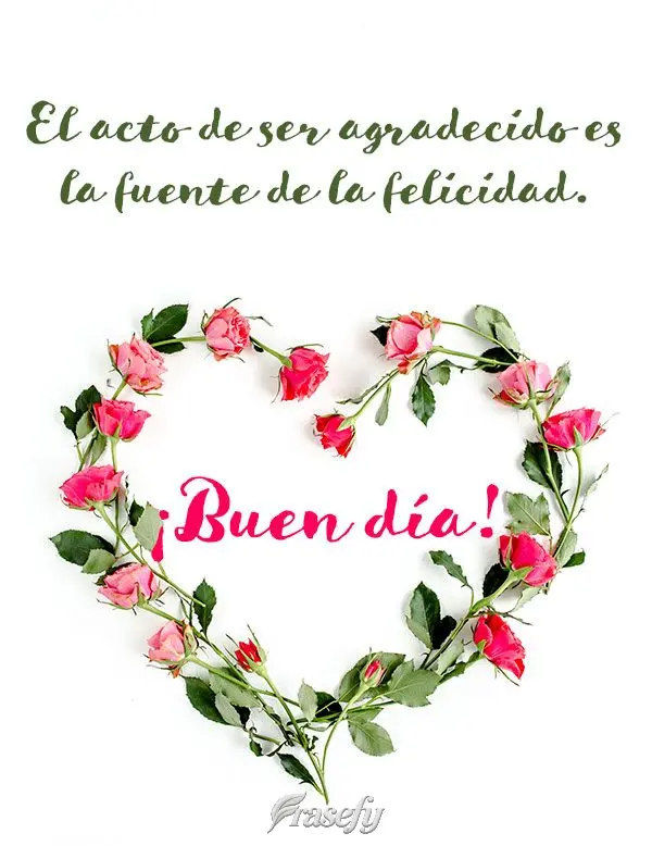El acto de ser agradecido es la fuente de la felicidad. ¡Buen día!