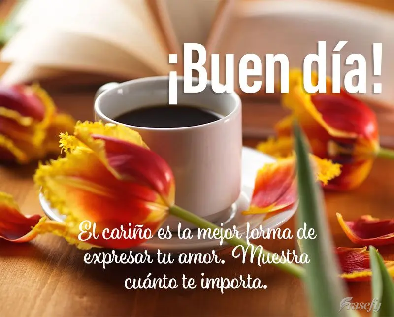 El cariño es la mejor forma de expresar tu amor. Muestra cuánto te importa. ¡Buen día!