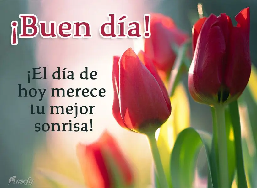 ¡El día de hoy merece tu mejor sonrisa! ¡Buen día!