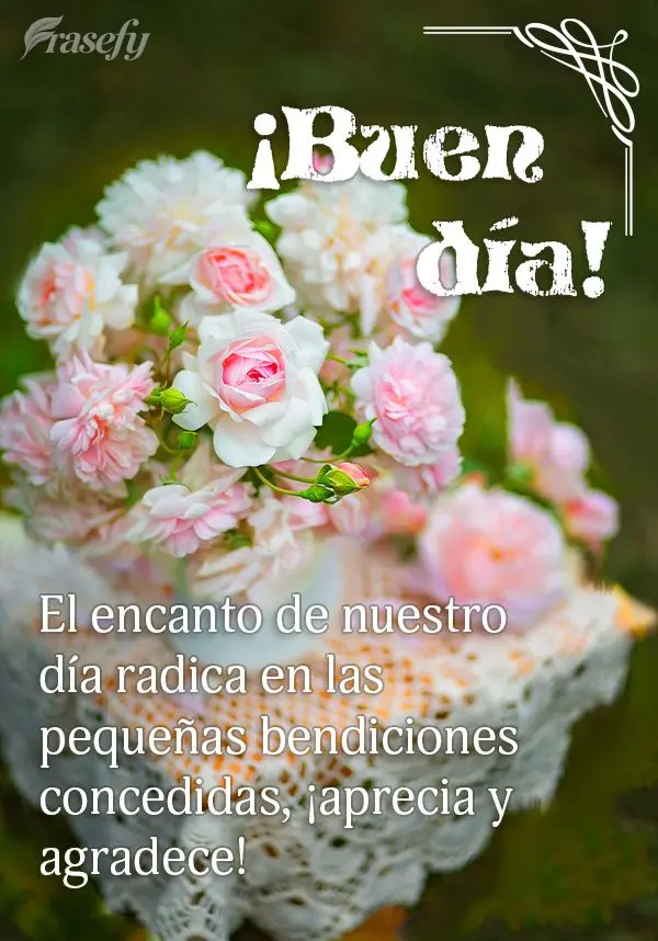 El encanto de nuestro día radica en las pequeñas bendiciones concedidas, ¡aprecia y agradece! ¡Buen día!