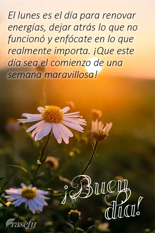El lunes es el día para renovar energías, dejar atrás lo que no funcionó y enfócate en lo que realmente importa. ¡Que este día sea el comienzo de ...