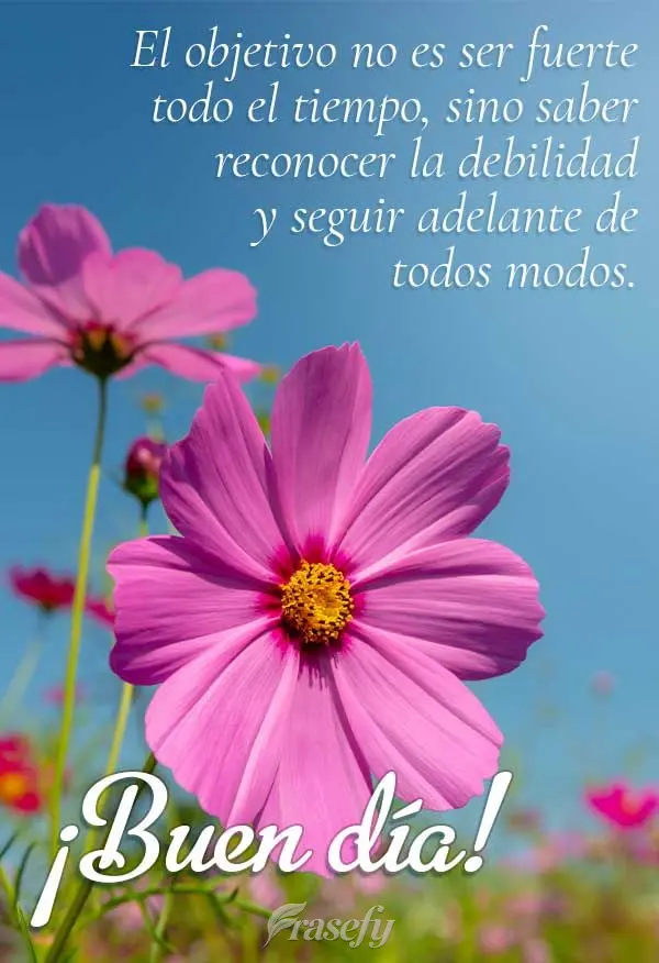 El objetivo no es ser fuerte todo el tiempo, sino saber reconocer la debilidad y seguir adelante de todos modos. ¡Buen día!