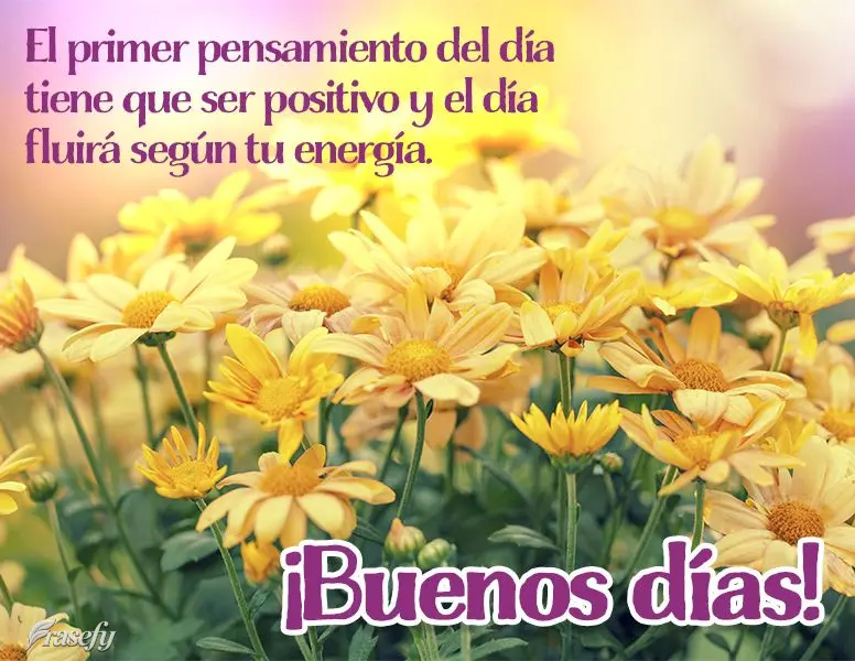 El primer pensamiento del día tiene que ser positivo y el día fluirá según tu energía. ¡Buenos días!