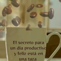 El secreto para un día productivo y feliz está en una taza 
de café. ¡Buenos días!