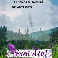 El Señor mismo irá delante de ti y estará contigo; nunca te dejará, nunca te desamparará. ¡No tengas miedo! ¡No te desanimes! Deuteronomio 31.8 ¡...