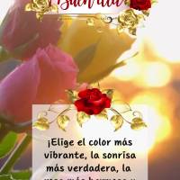 ¡Elige el color más vibrante, la sonrisa más verdadera, la rosa más hermosa y permítete ser feliz! ¡Buen día!