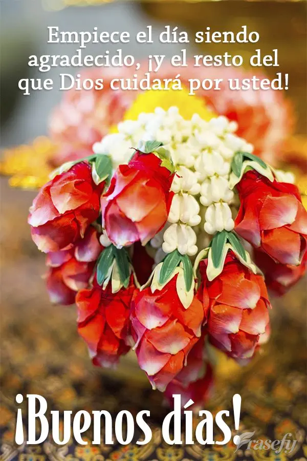 Empiece el día siendo agradecido, ¡y el resto del que Dios cuidará por usted! ¡Buenos días!