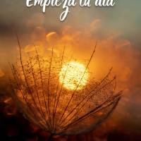 Empieza tu día creyendo en lo posible, quien se despierta optimista empieza a ver el lado bueno de la vida. ¡Y no te olvides de decir gracias por el he...