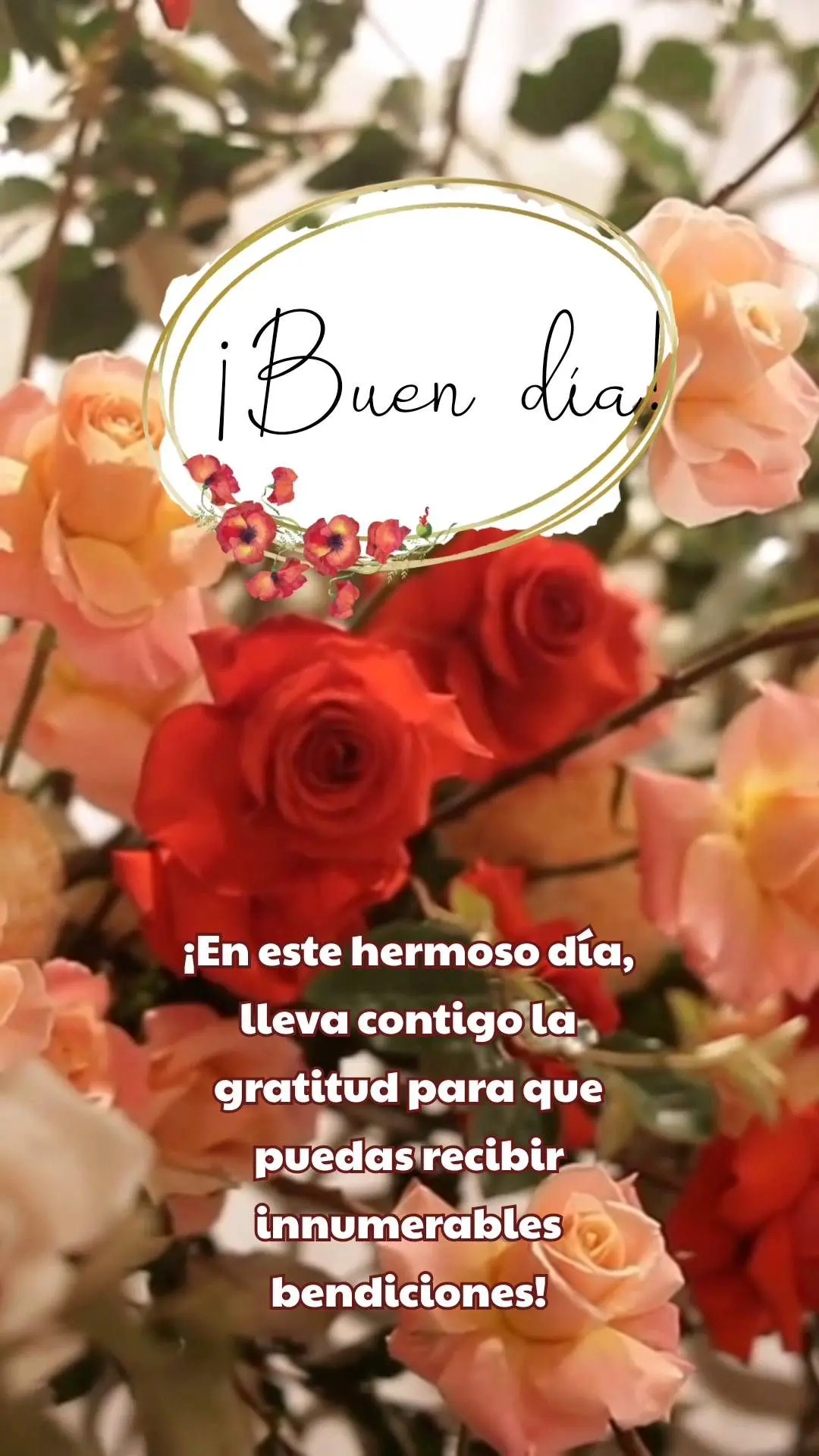 ¡En este hermoso día, lleva contigo la gratitud para que puedas recibir innumerables bendiciones! ¡Buen día!