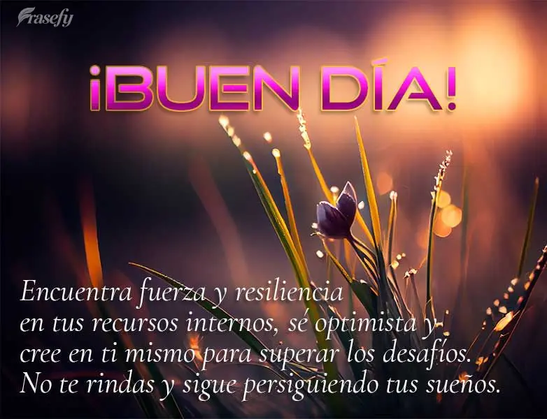 Encuentra fuerza y ​​resiliencia en tus recursos internos, sé optimista y cree en ti mismo para superar los desafíos. No te rindas y sigue persigui...