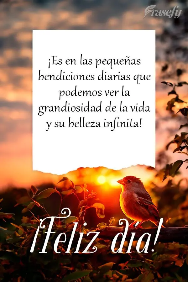 ¡Es en las pequeñas bendiciones diarias que podemos ver la grandiosidad de la vida y su belleza infinita! ¡Feliz día!