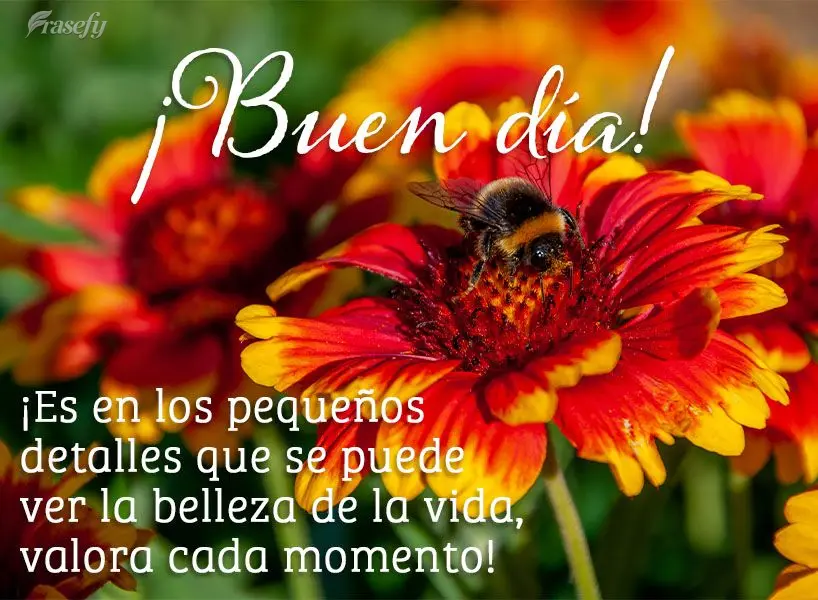 ¡Es en los pequeños detalles que se puede ver la belleza de la vida, valora cada momento!  ¡Buen día!