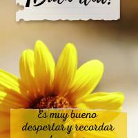 Es muy bueno despertar y recordar que tenemos una oportunidad más de ser felices y agradecidos por eso. ¡Buen día!