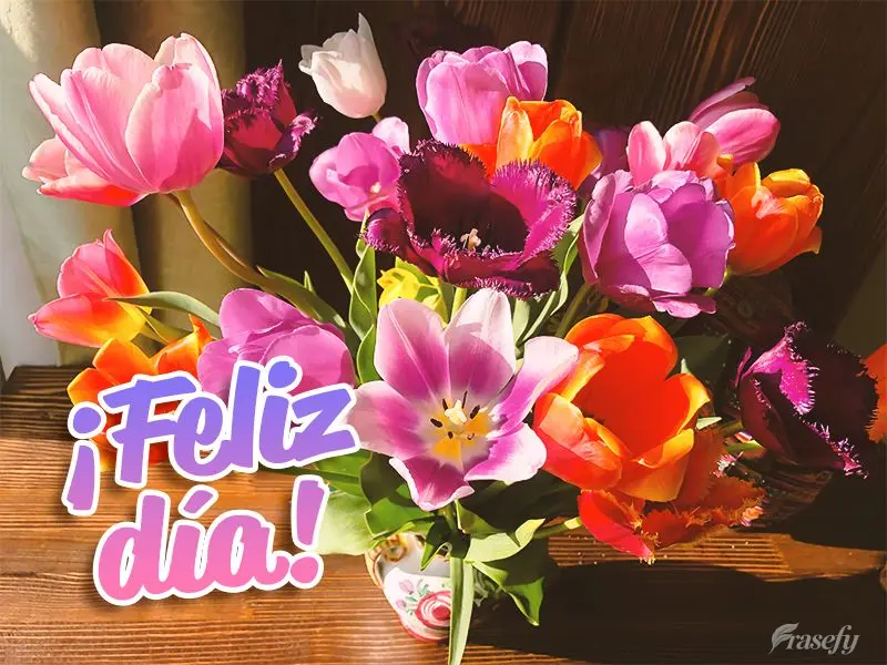 ¡Feliz día!
