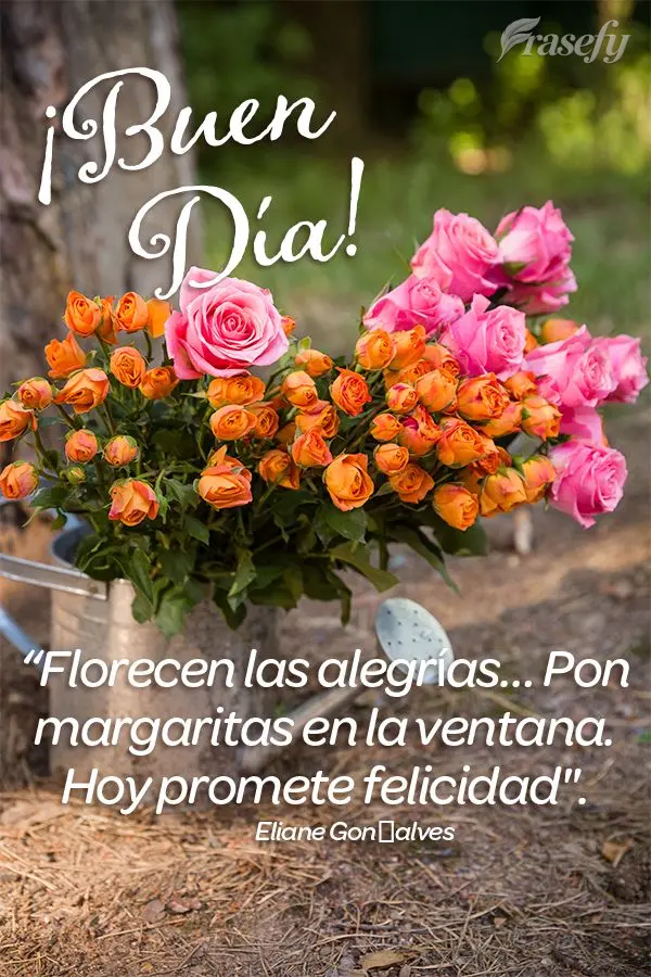 “Florecen las alegrías… Pon margaritas en la ventana. Hoy promete felicidad". ¡Buen día! Eliane Goncalves