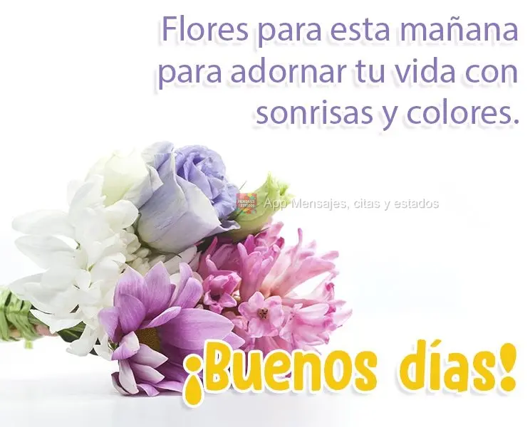 Flores para esta mañana para adornar tu vida con sonrisas y colores. ¡Buenos días!
