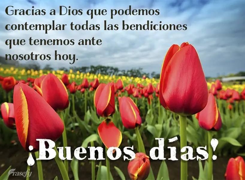Gracias a Dios que podemos contemplar todas las bendiciones que tenemos ante nosotros hoy. ¡Buenos días!