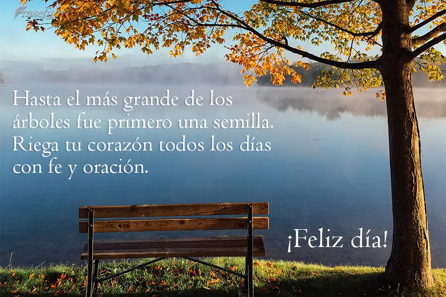 Hasta el más grande de los árboles fue primero una semilla. Riega tu corazón todos los días con fe y oración. ¡Feliz día!