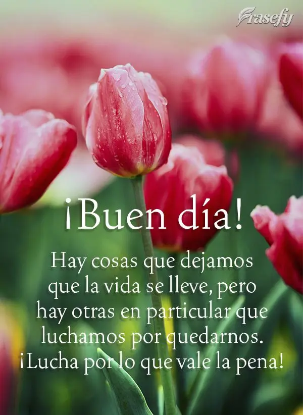 Hay cosas que dejamos que la vida se lleve, pero hay otras en particular que luchamos por quedarnos. ¡Lucha por lo que vale la pena! ¡Buen día!