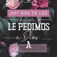 ¡Hay días en los que solo le pedimos a Dios su protección! ¡Buen día!