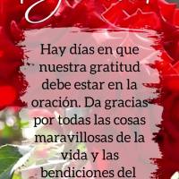 Hay días en que nuestra gratitud debe estar en la oración. Da gracias por todas las cosas maravillosas de la vida y las bendiciones del día;¡gracias!...