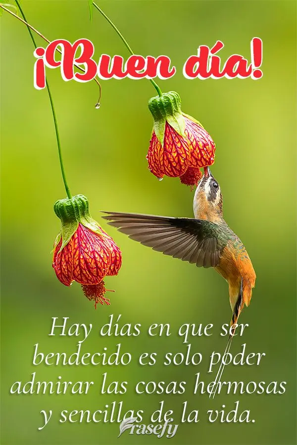 Hay días en que ser bendecido es solo poder admirar las cosas hermosas y sencillas de la vida. ¡Buen día!
