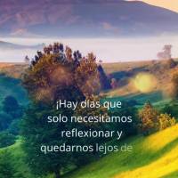 ¡Hay días que solo necesitamos reflexionar y quedarnos lejos de todo aquello que nos resta la paz! ¡Buenos días!