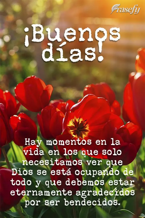 Hay momentos en la vida en los que solo necesitamos ver que Dios se está ocupando de todo y que debemos estar eternamente agradecidos por ser bendecidos...