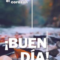 ¡Hermosas palabras acarician el corazón y hacen que todo sea más ligero para vivir! ¡Buen día!